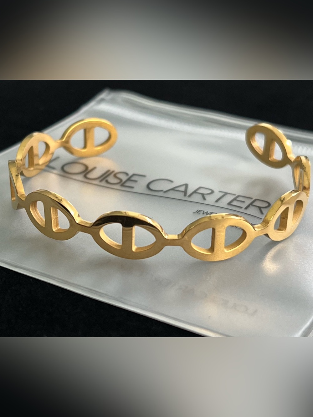 Louise Carter Netra Link Bangle Bracelet NEW